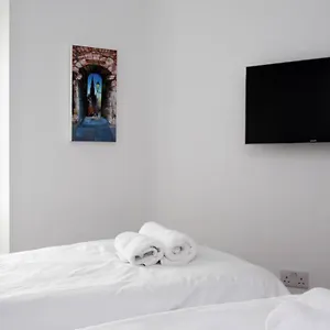  Apartment Turtle